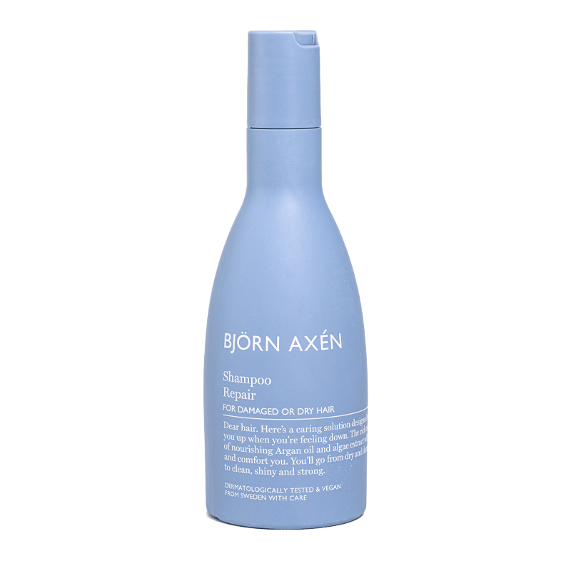 BJORN AXEN CONDITIONER REPAIR CHEVEUX SECS ET ABAIMES