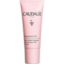 CAUDALIE RESVERATROL-LIFT SOIN LIFTANT REGARD 15ML