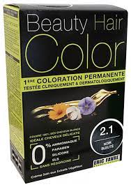 BEAUTY HAIR COLOR 2.1 NOIR BLEUTE