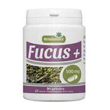 GPH FUCUS+ - 90 GELULES