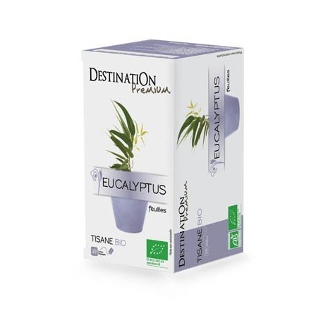 DESTINATION PREMIUM EUCALYPTUS TISANE BIO 20 SACHETS