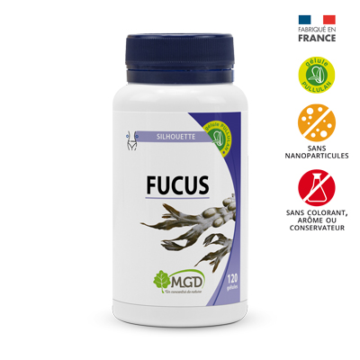 MGD FUCUS 120 GELULES