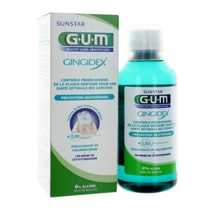 [00480091] GUM BAIN DE BOUCHE GINGIDEX 1704